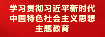 學習貫徹習近平新時代中國特色社會主義思想主題教育